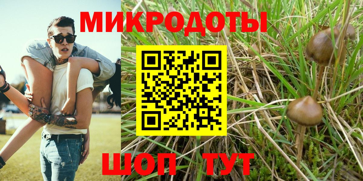 Псилоцибиновые грибы мицелий Моздок
